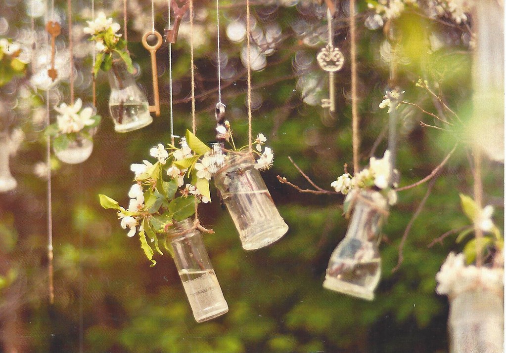 Flowers in hanging glass jars carolreader Flickr