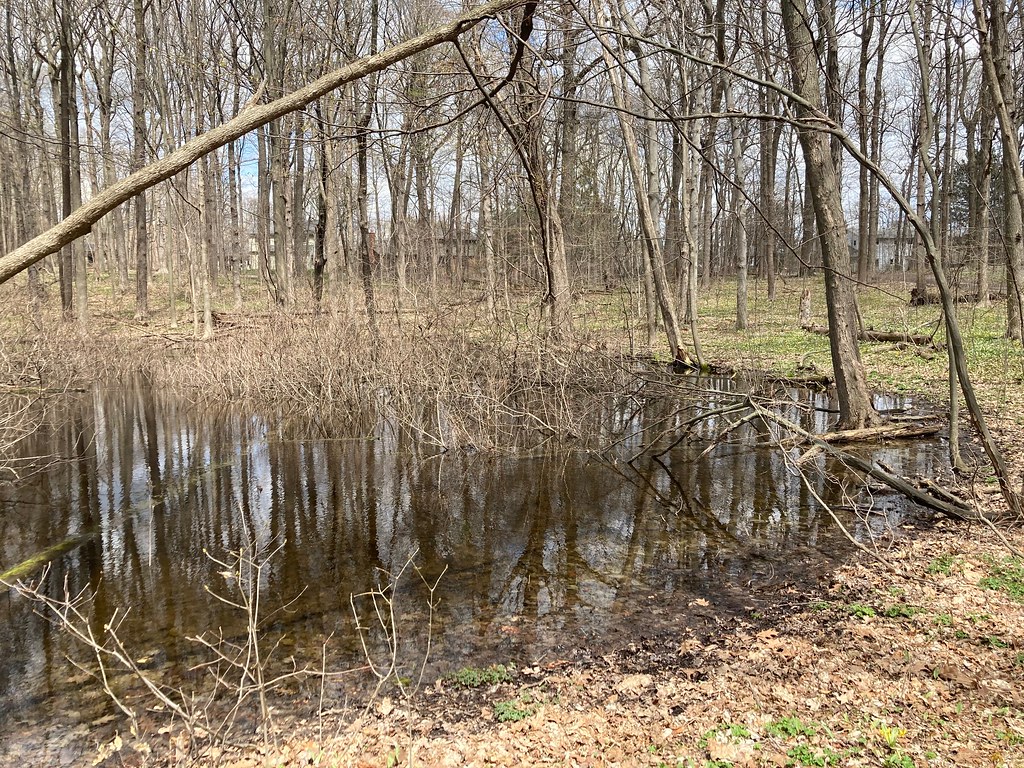 Sugarbush_PP1_2022.05.01 Natural Area Preservation Flickr