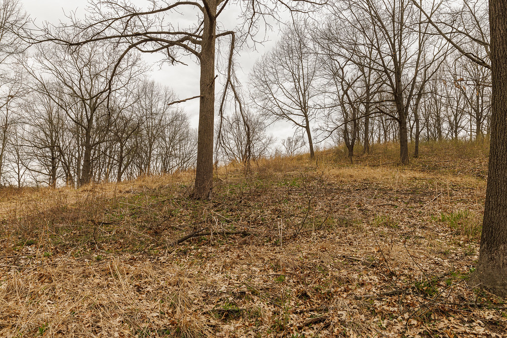 Ruthven_PP11_2022.04.26 Natural Area Preservation Flickr