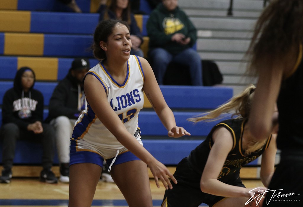 Lockport Varsity Girls Basketball vs Will North EJ Johnson Flickr