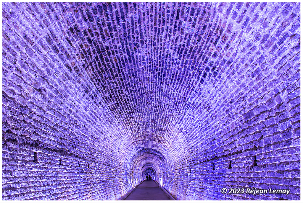 Tunnel Vision DSC_17511 copy Tunnel Vision generally bear… Flickr