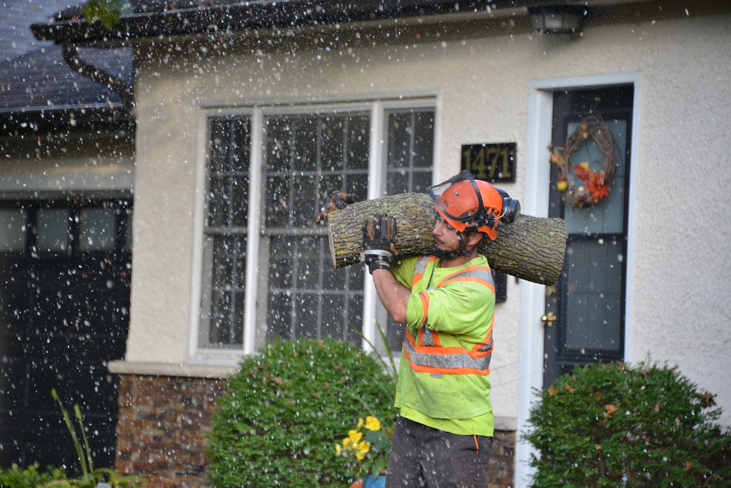 Ottawa Tree Surgeons Ian Young Flickr