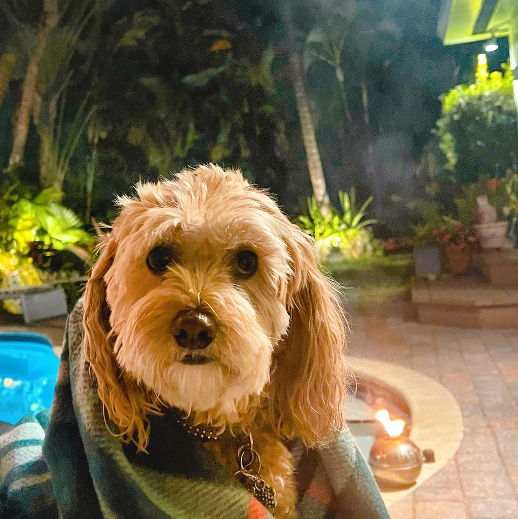 dakota cold. front . miami jan 2023 robertgeffert2 Flickr