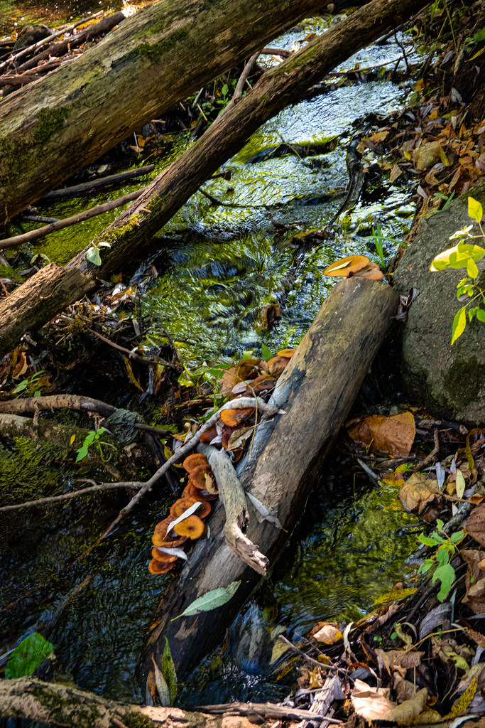 Marine On the St Croix Brandon Speaks Flickr
