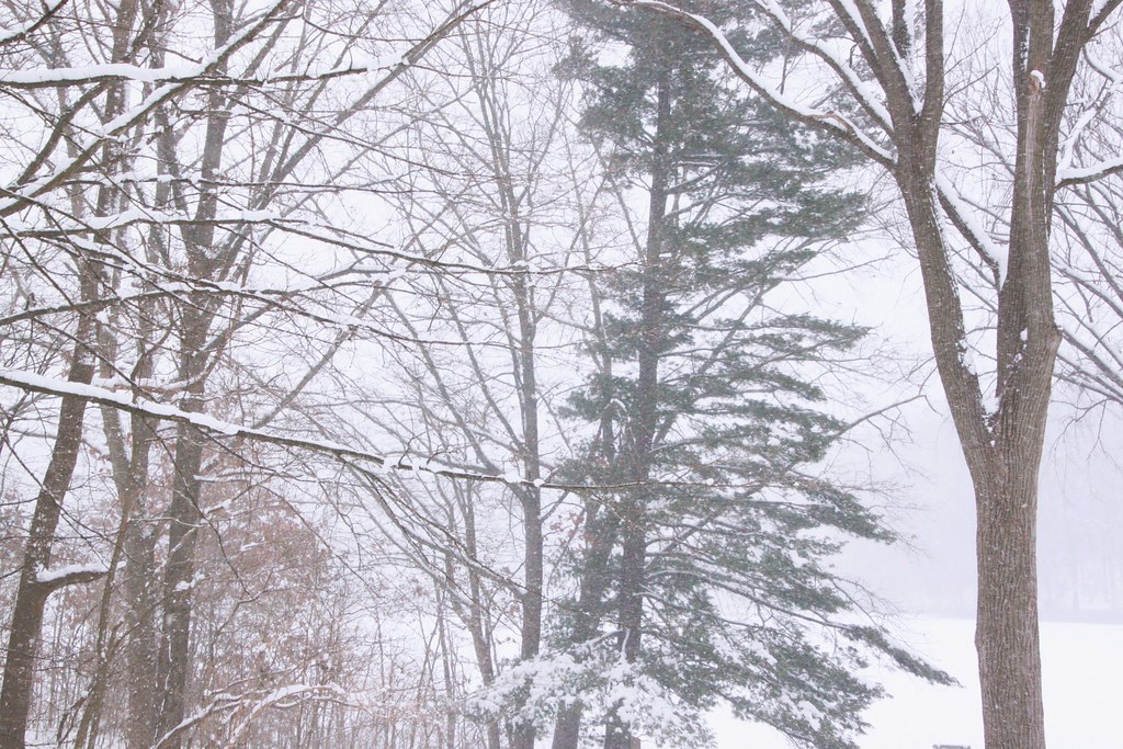 Snow Squall Definition "Snow squalls are intense, but sho… Flickr