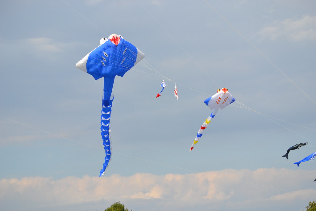 Bognor Regis Kite Festival Bognor Regis Kite Festival Flickr