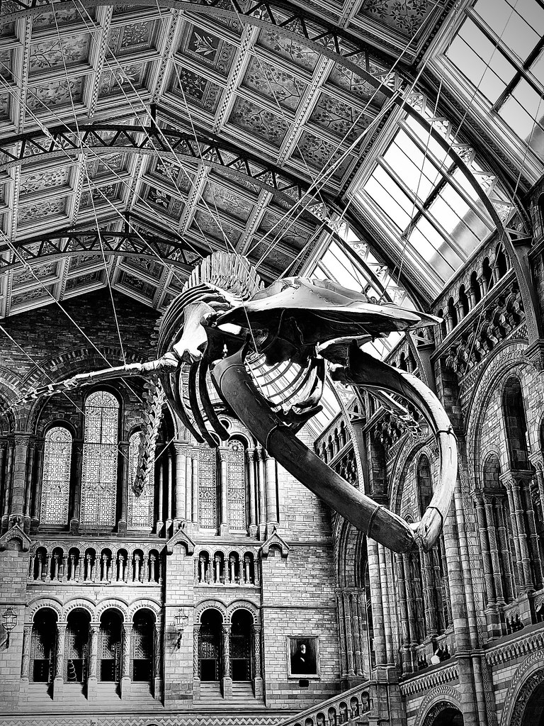 Untitled Edward Jenner Flickr