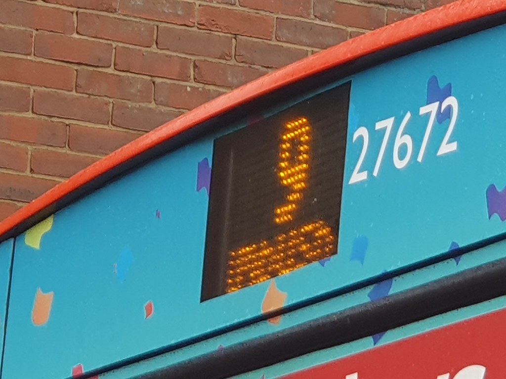 20230114_113129 David Elston Flickr