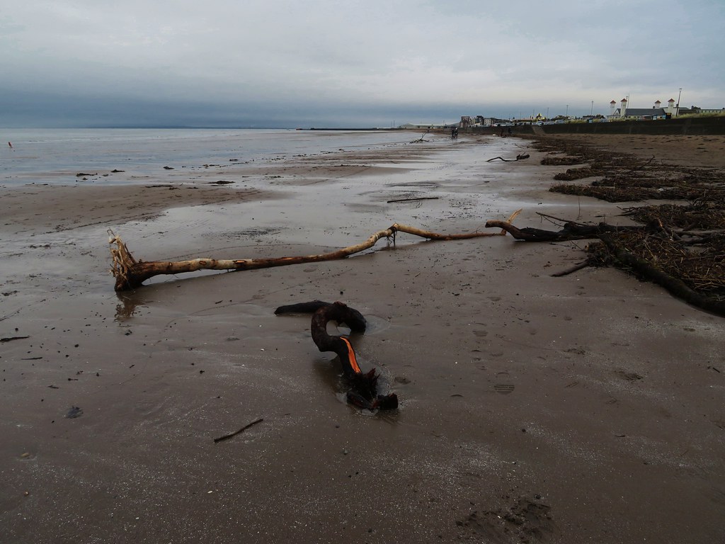 Low tide A morning walk along Ayr beach scrappy annie Flickr