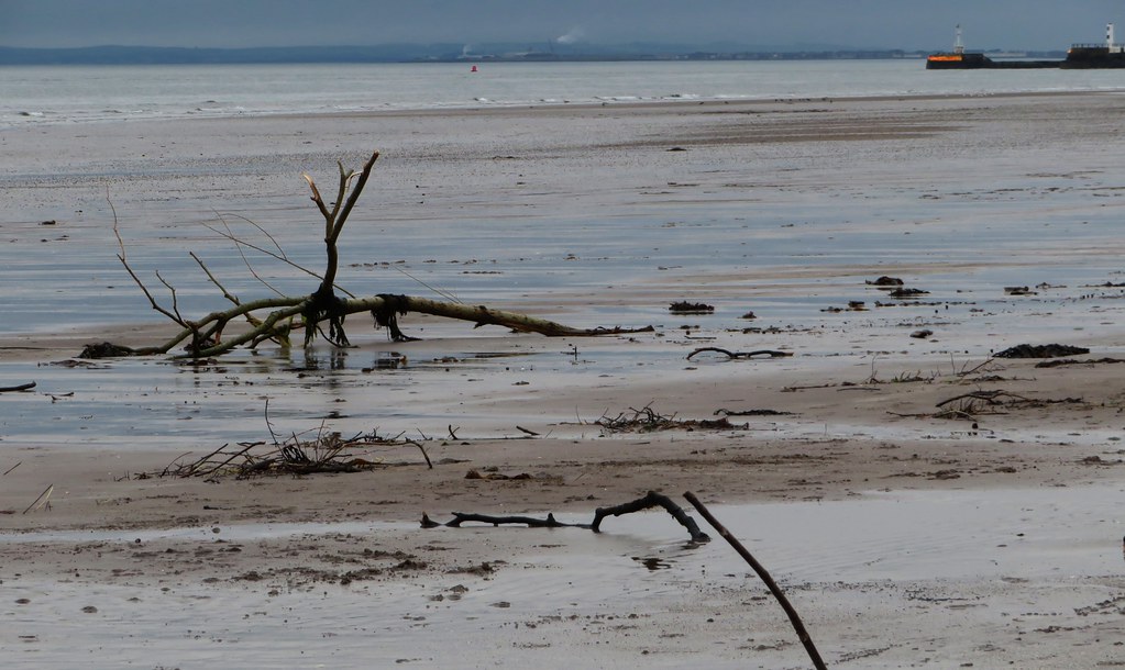 Low tide A morning walk along Ayr beach scrappy annie Flickr