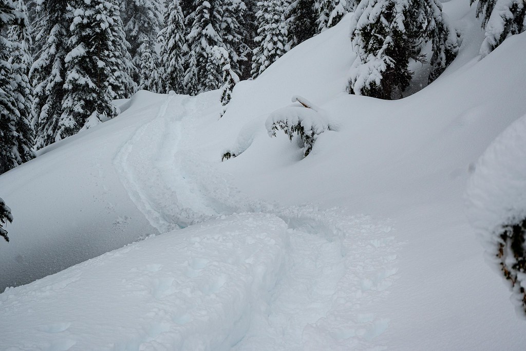 20230128 Paradise, Mt Rainier Snowshoe0062 Patrick Tart Flickr