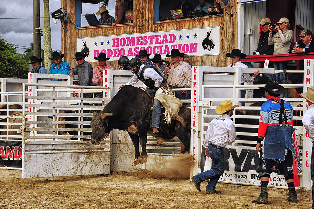 _DSC2788 Flying out the gate, Homestead Rodeo 2023 Flickr