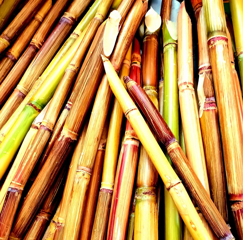 Sugar cane sticks Неidе Flickr