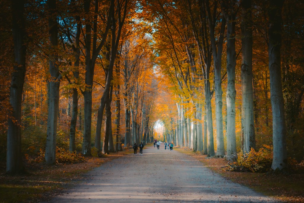 Leben im Park Syré Flickr