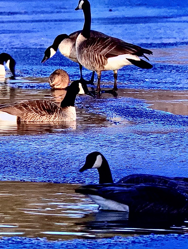 Edge lake renato ponzillo Flickr