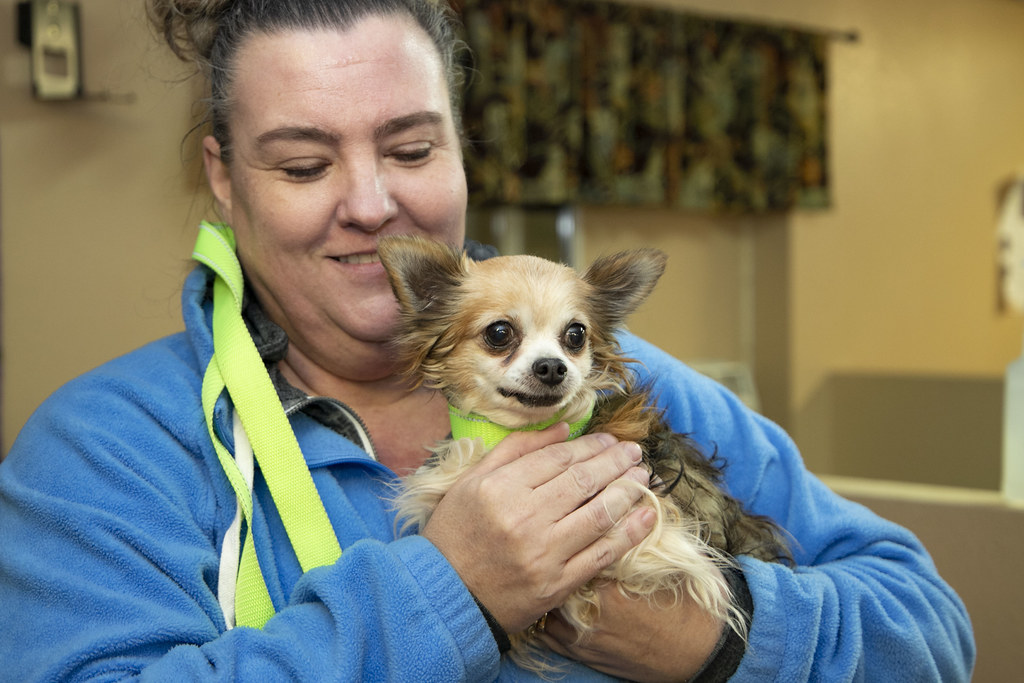 Zane RescueArrivalOffloading 2 February 2023 National Mill Dog