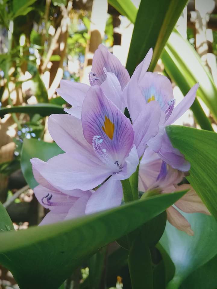 FB_IMG_1649255666494 Calvin Eric Flickr