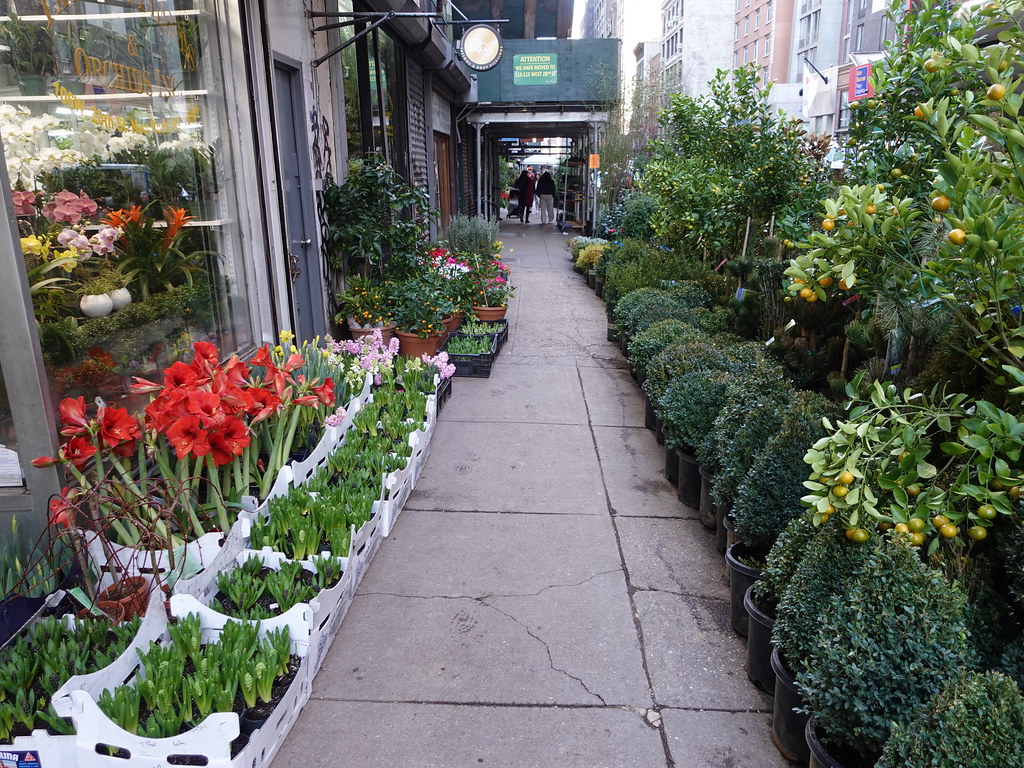 202301141 New York City Chelsea Flower and plant stores on… Flickr