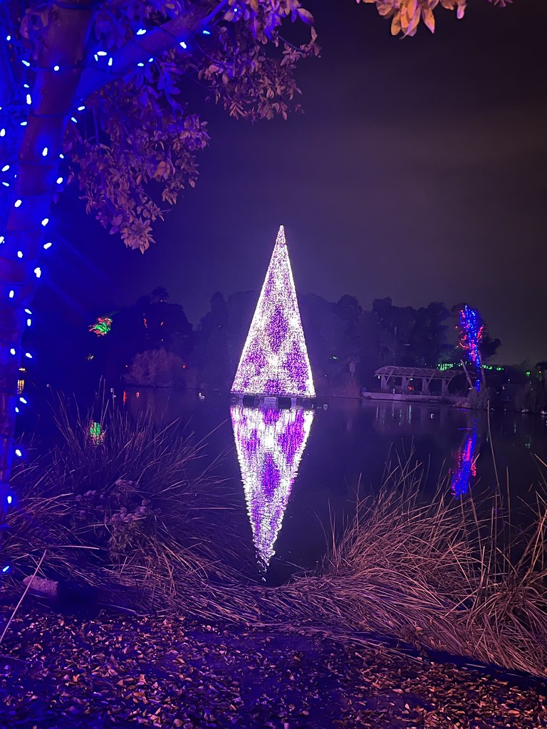 Zoo Lights Phoenix Zoo Carla Putnam Flickr