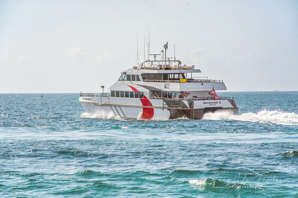 PROVINCETOWN III The ferry "PROVINCETOWN III" sailing out … Flickr