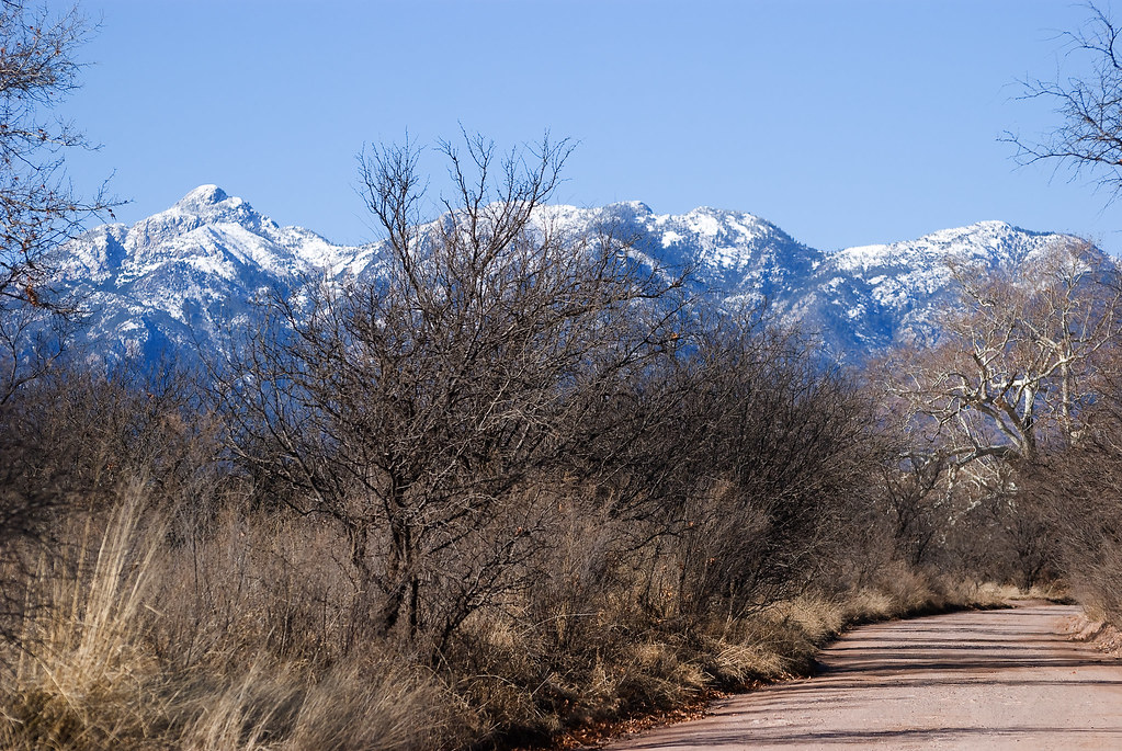 20230119 Apache Creek (16) From Gardner Road, looking at… Flickr