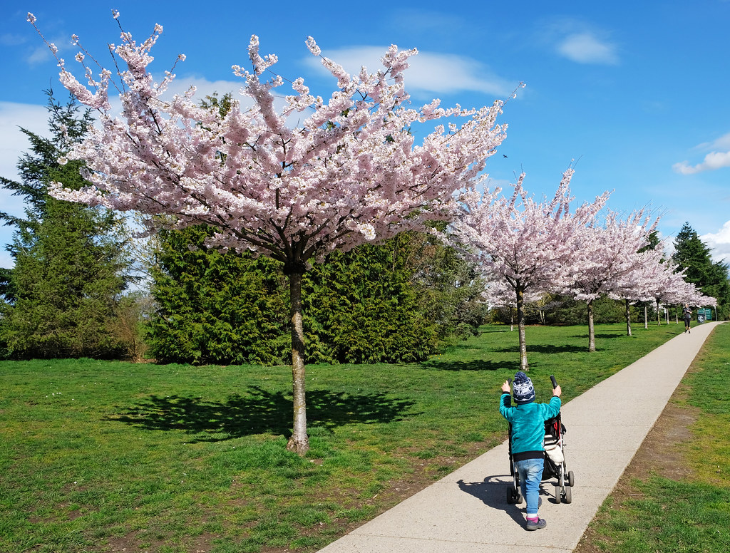 Queen Elizabeth Park, Vancouver, BC, Canada Csaba&Bea Our Wanders