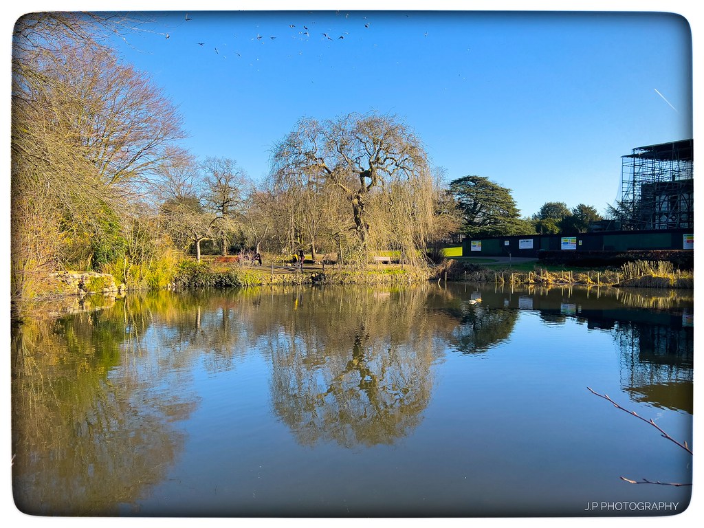 Todays walk around Broomfield Park and Southgate High Stre… Flickr