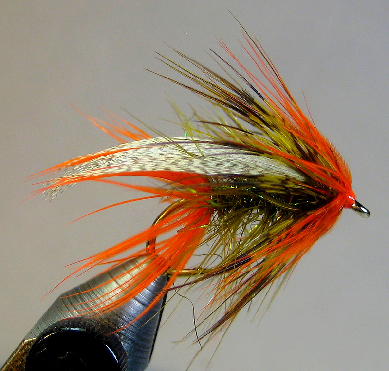 Stayner Ducktail (variation) Fly Fishing Forum