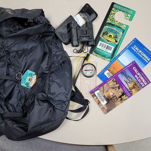 Benicia Public Library Flickr