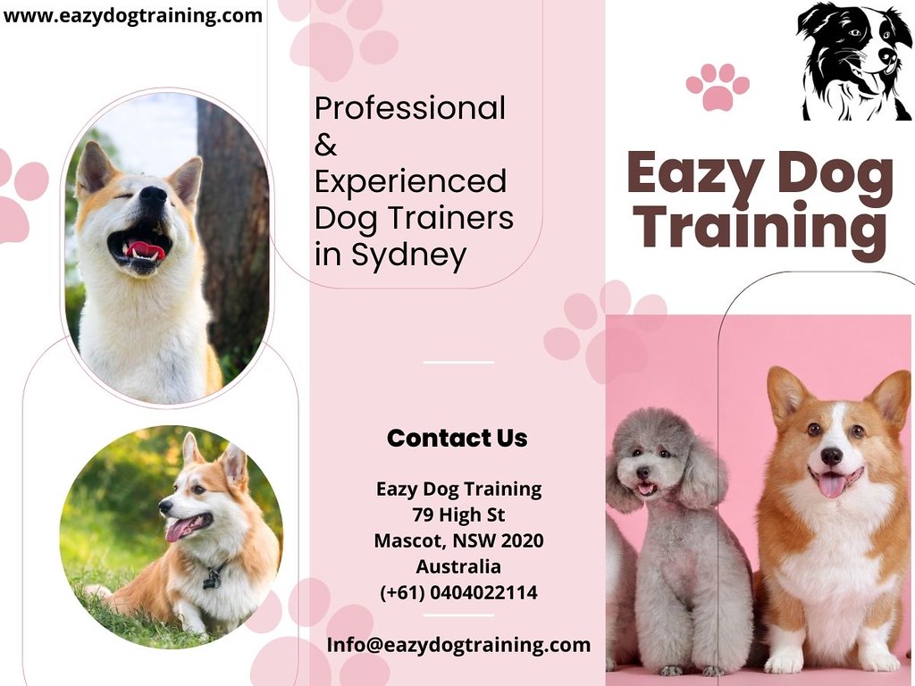 Aggressive Dog Training Sydney Dog Training Sydney Inner W… Flickr