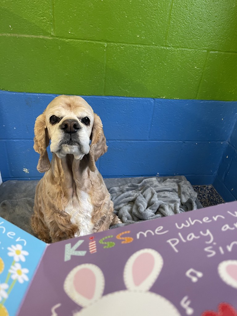 Greenlin West 2/7/2023 Greenlin West Flickr