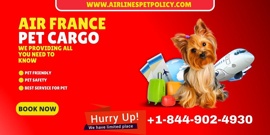 Pet Cargo Air France Airlines Pet Policy Air France of… Flickr