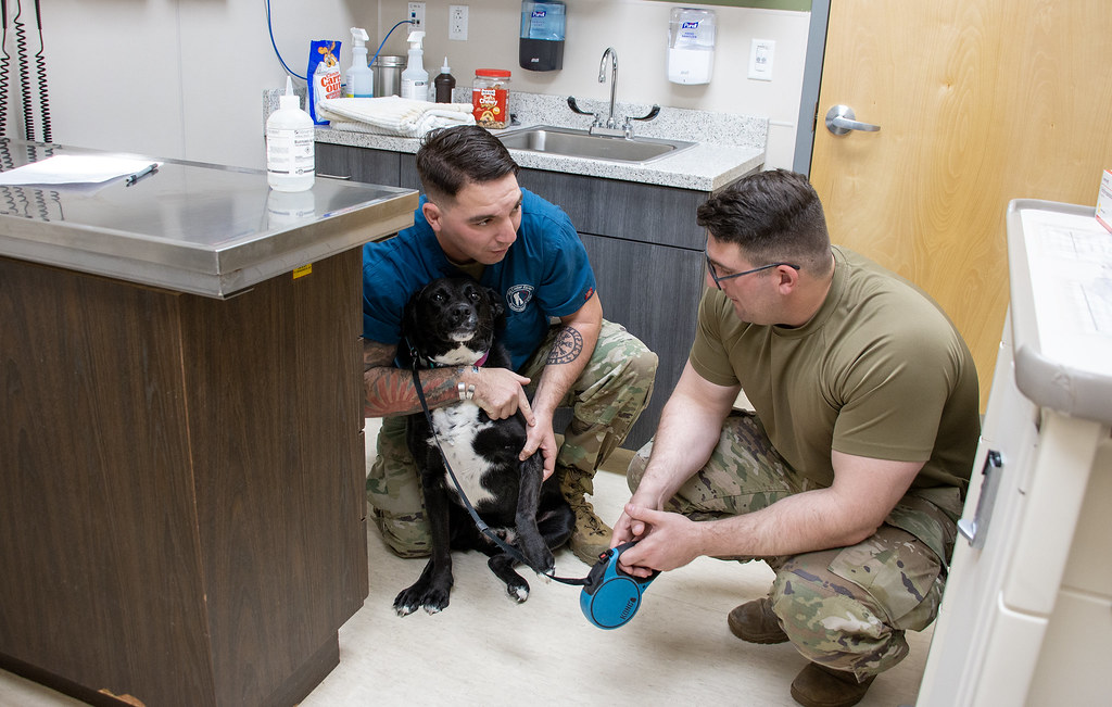 Vet Facility holds vaccination rodeo Fort Huachuca Veterin… Flickr