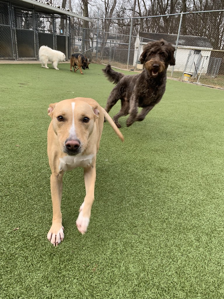 Greenlin west 2/7/2023 Greenlin West Flickr