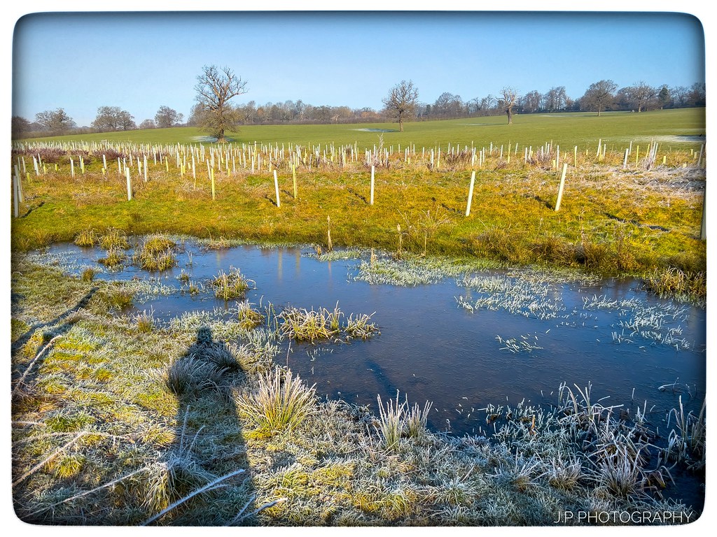 Todays walk along The London Loop from The Ridgeway throug… Flickr
