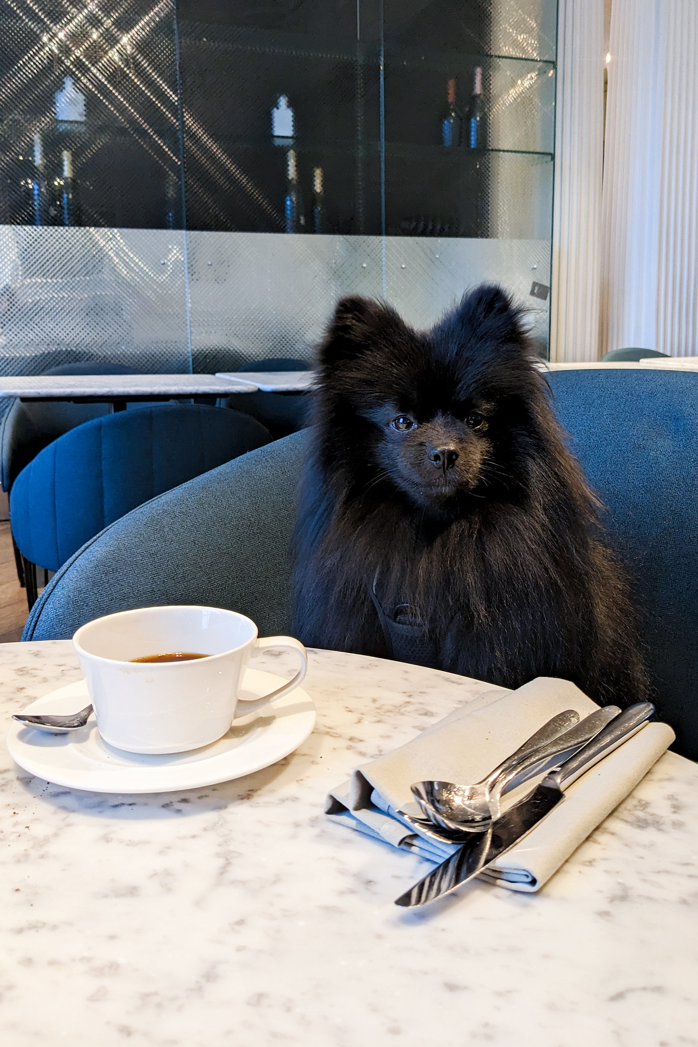 Kimpton Blythswood Square Glasgow Hotel Review DogFriendly Hotels