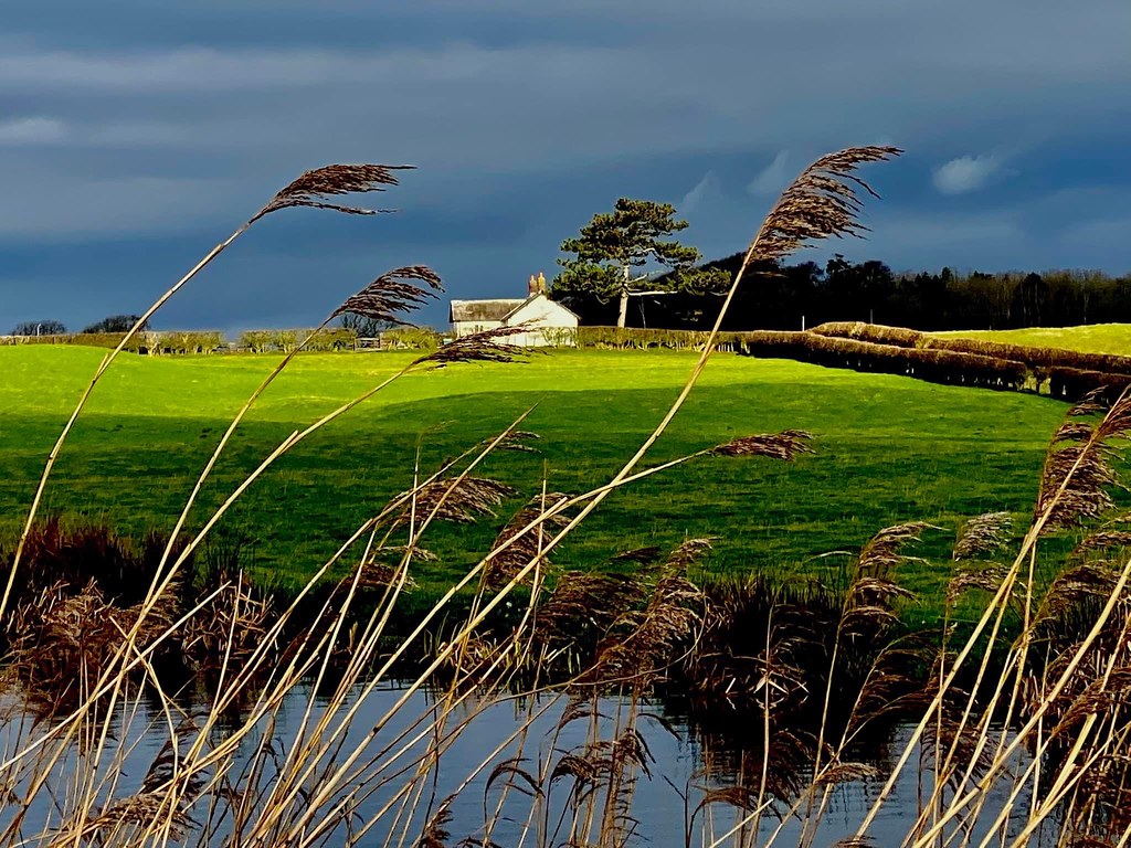 Lea, Preston, Feb 2022 KL Lea, Preston, Feb 2022 KL Flickr