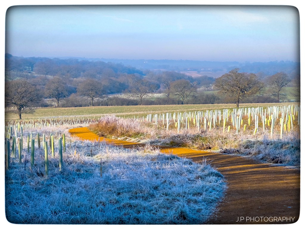 Todays walk along The London Loop from The Ridgeway throug… Flickr