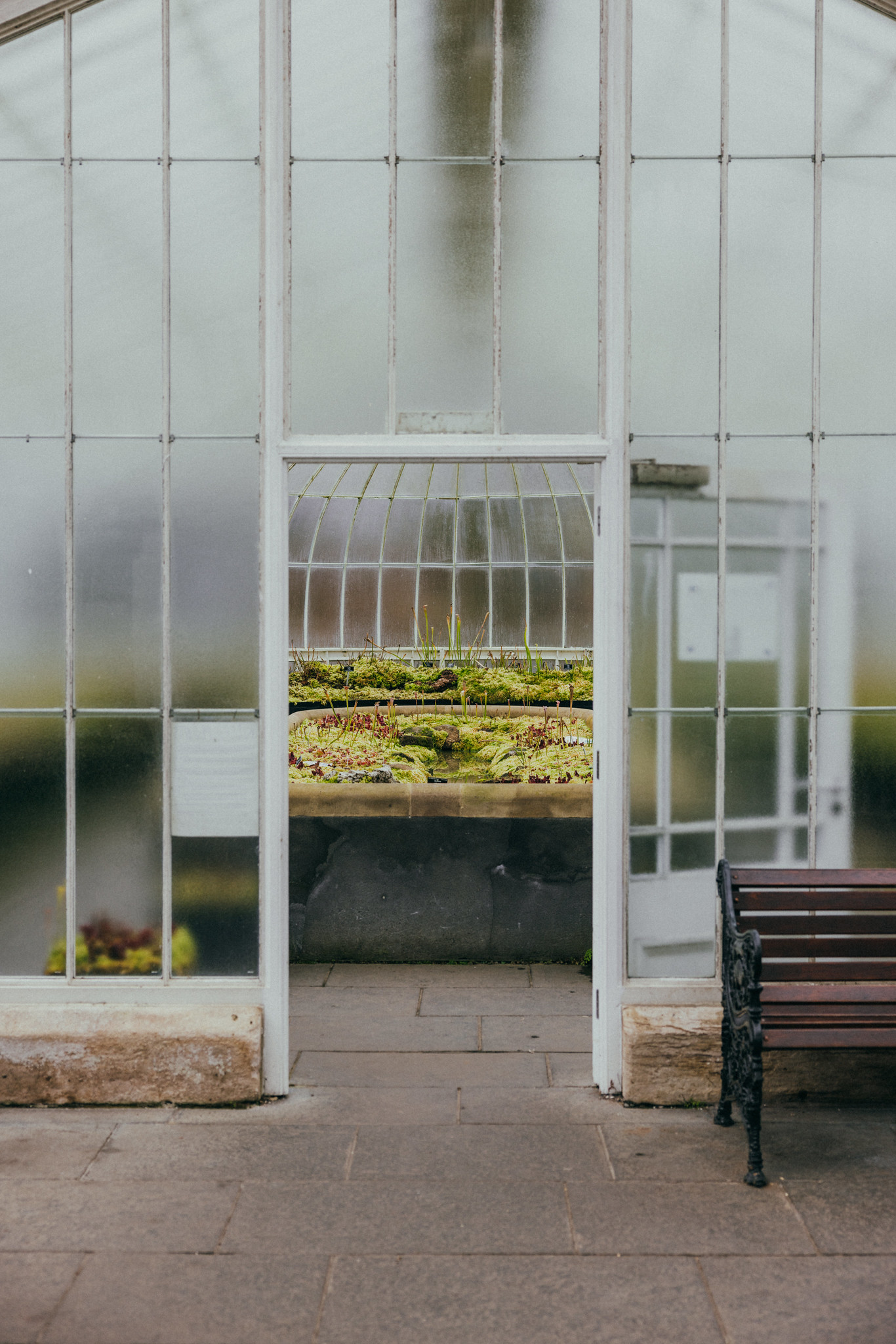 Glasgow Botanical Gardens — A Considered Life