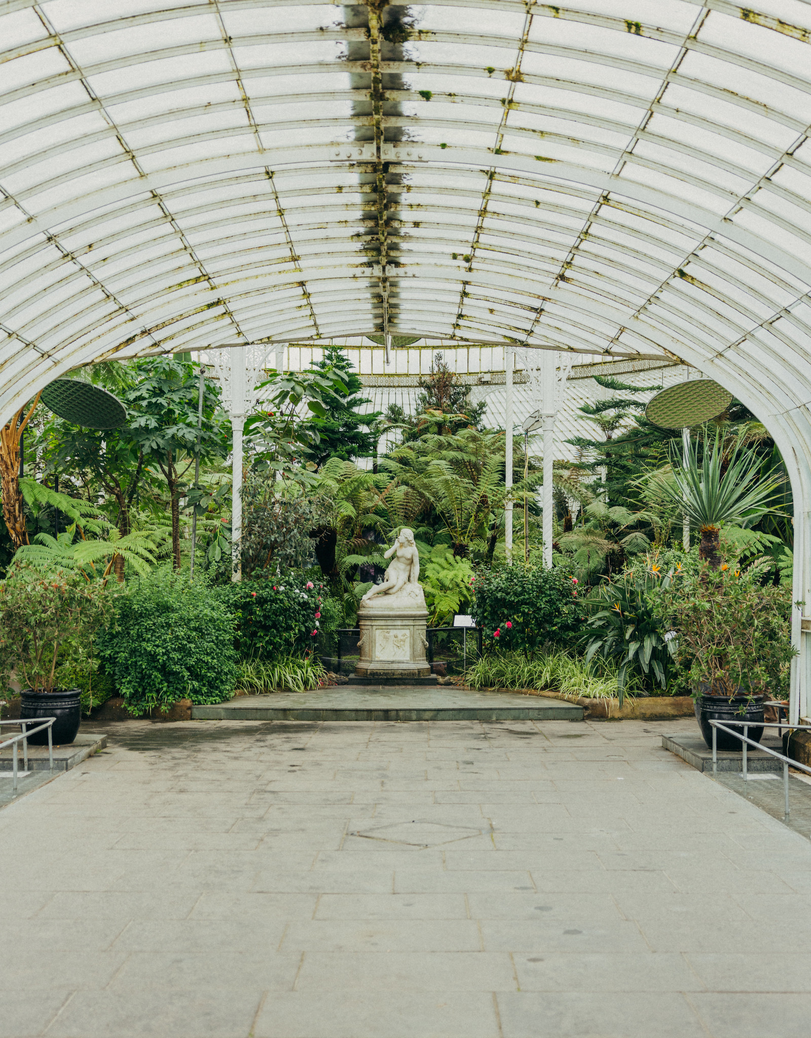 A DogFriendly Travel Guide To Glasgow, Scotland — A Considered Life