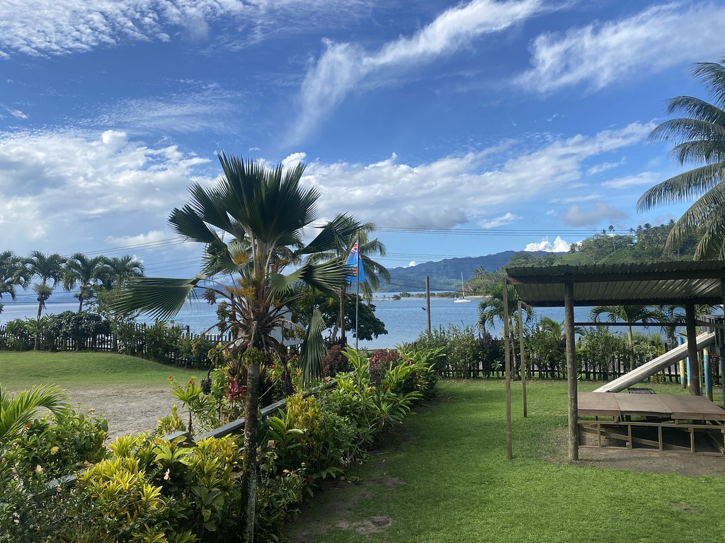 Planters Club Savu Savu Claudia Loughran Flickr