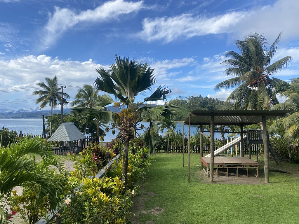 Planters Club Savu Savu Claudia Loughran Flickr