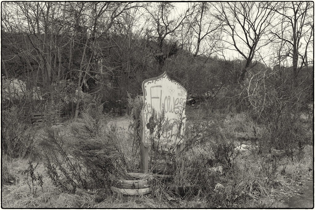 L1400743 Braddock Youth City Beautification Project; Bradd… Flickr