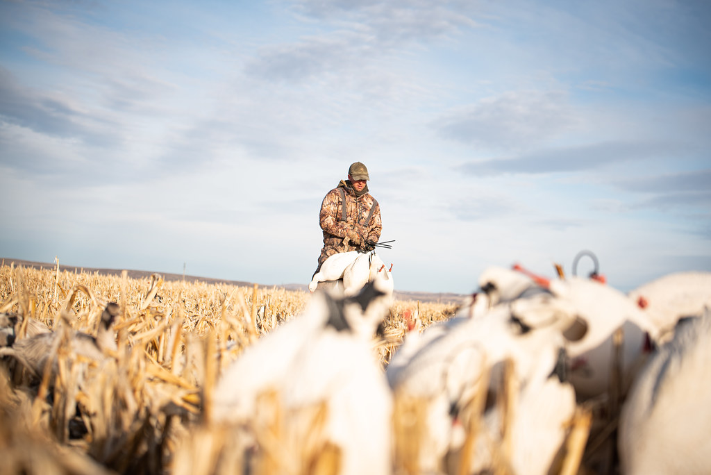 DSC_3247 Dave Smith Decoys Flickr