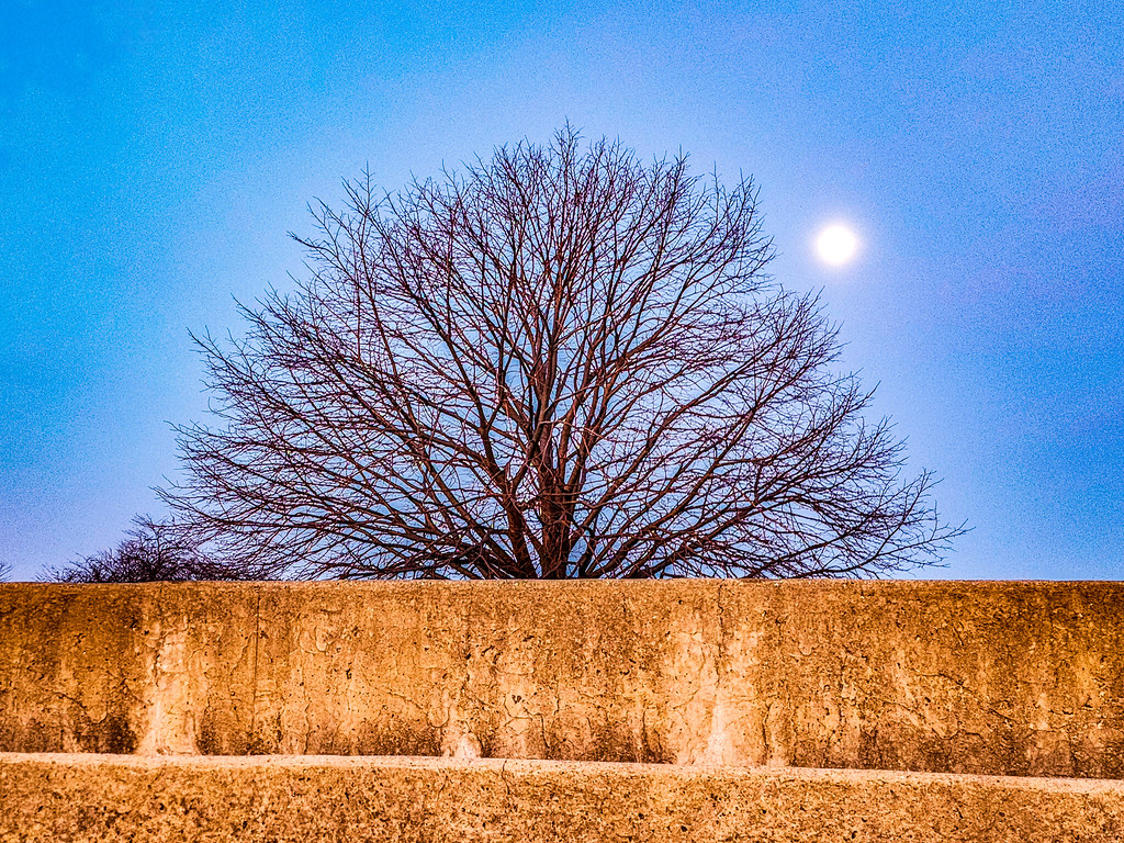 20230208_064041 Keith Potter Flickr