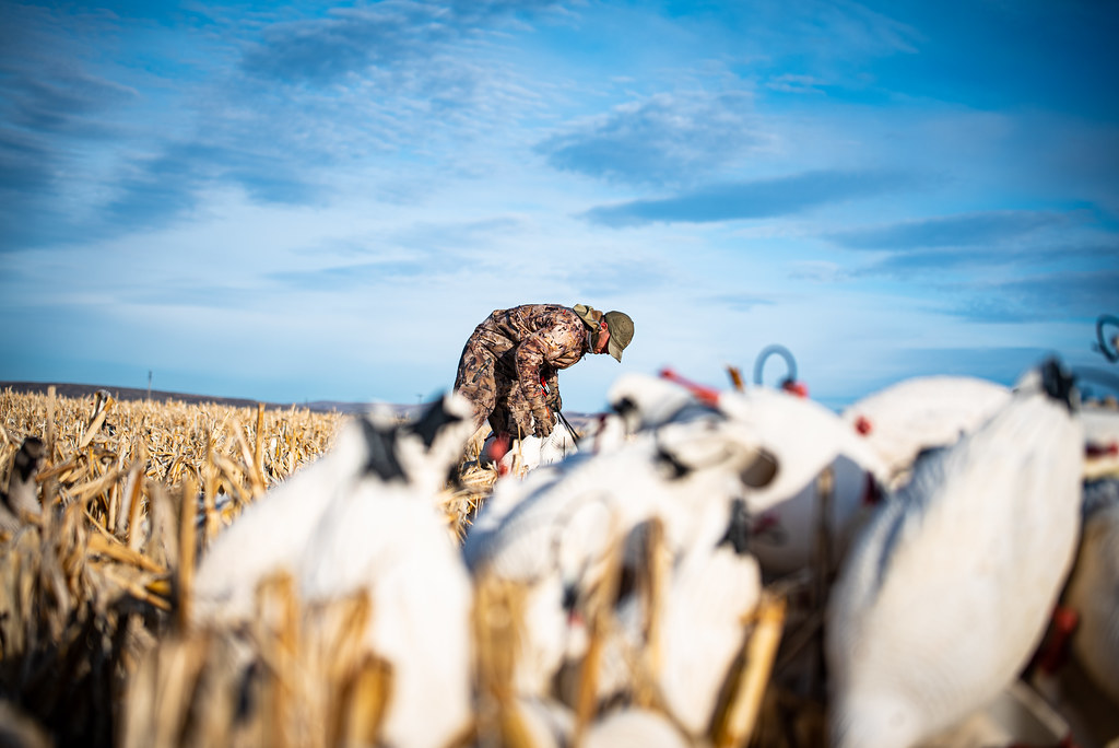 DSC_3253 Dave Smith Decoys Flickr