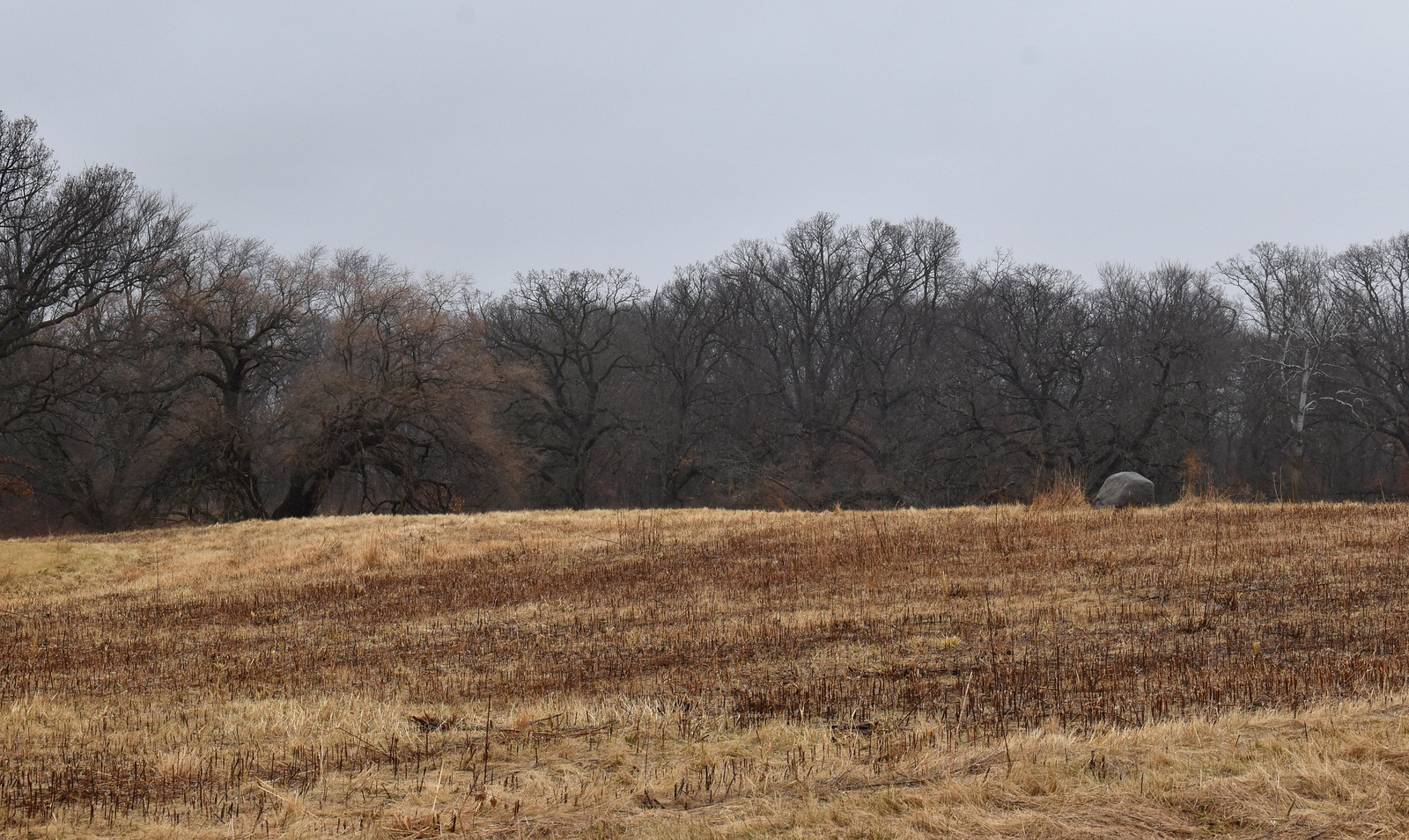 St. James Farm Forest Preserve of DuPage County Flickr