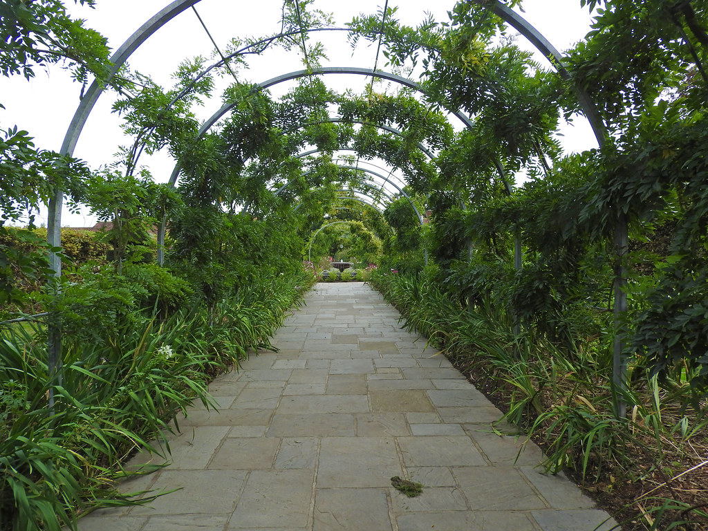 Wisteria Walk, Wisley Gardens Linda 2409 Flickr