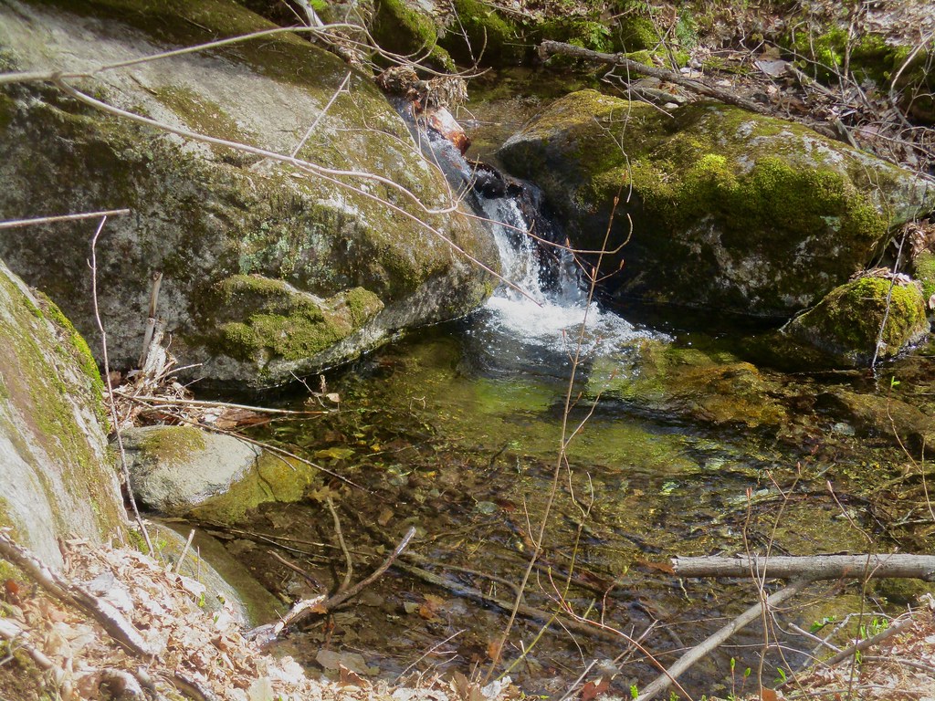 Owl's Head Lookout hike May 8, 2022 Thom Flickr