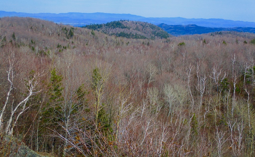 Owl's Head Lookout hike May 8, 2022 Thom Flickr